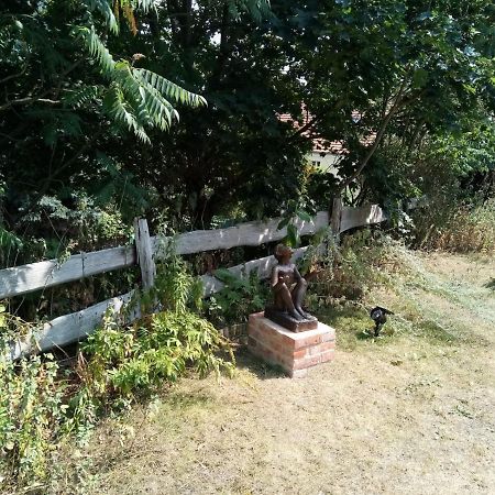 Pension An Der Stadtmauer Gartz Zewnętrze zdjęcie